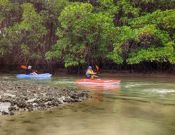 Explore Kayaking – 90Min.