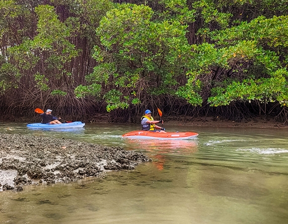 Explore Kayaking - 90Min.